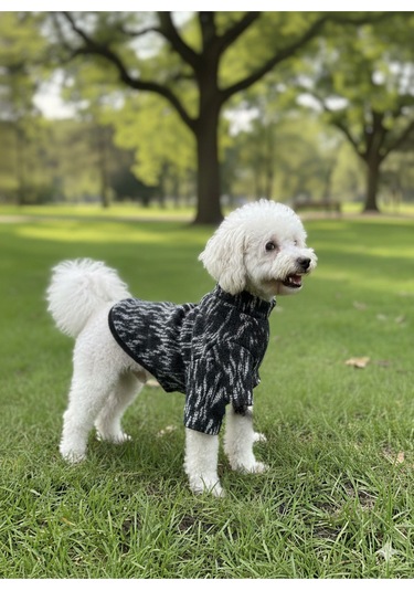 Kedi - Köpek Mevsimlik - Kışlık Triko Kazak - Sweat - Mont - Yelek