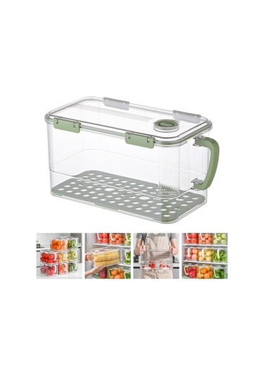 Pazly Yumurta Suntek Kutusu İçin Gıda Ev Dolabı Depolama Ef Yeşil