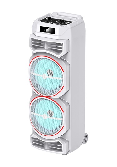 Gd-2828 Dijital Led Göstergeli Mikrofonlu Rgb Tws Çift 8 İnç Stereo Bass Kablosuz Karaoke Hoparlör