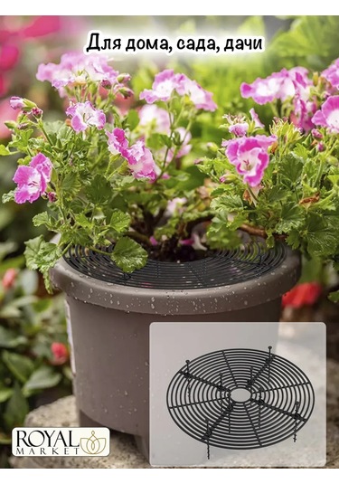 Royal Market Bitki Koruma 109206595