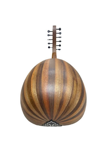 Eğitimlik Zenne Ud Kaliteli Öğrenci Seviye