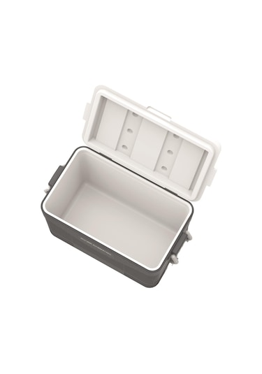 Icepeak Coolcraft 46 Buzluk 41.6 Litre-füme Füme