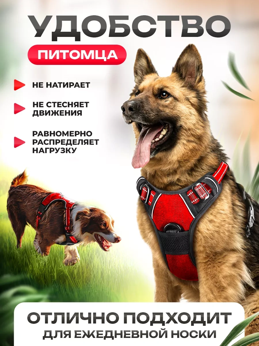 Petfort Orta Ve Büyük Irk Köpekler İçin Anatomik Koşu Kayışı 175588727 Kırmızı