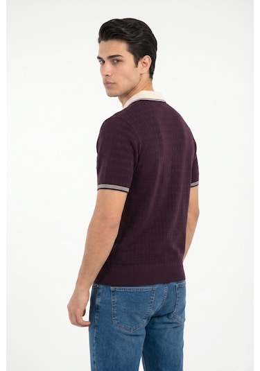 Baglan Erkek Spor Polo Yaka Triko Tişört Bgl-st05372 Mürdüm