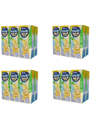 Torku Miniki Muzlu Süt 180 Ml X 24 Adet