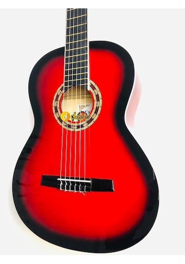 Carissa Cg-160 Tam Boy Sap Ayarlı Gitar