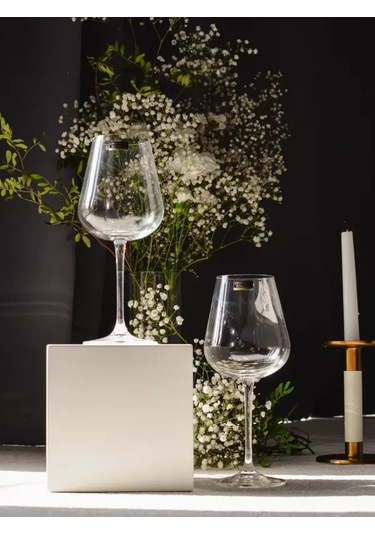 Andstyle Premıum Vine 450 Ml Şişe İçin Kupa, 2'li Set 214306679