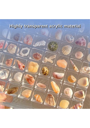 Akrilik Manyetik Deniz Kabuğu Gösterim Kutusu, Izgara Şeffaf Akrilik Deniz Kabuğu, F