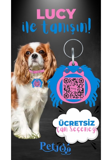 Petjoo 11.Lucy Mavi-Pembe Qr'lı Köpek Künyesi