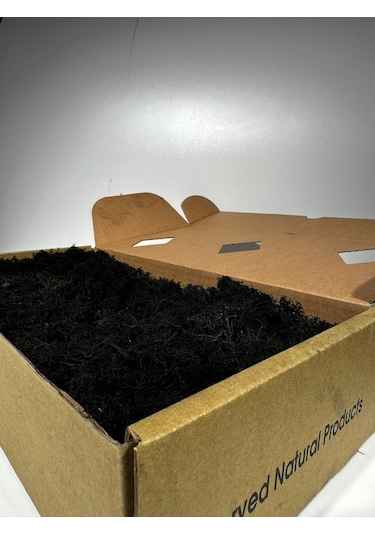 Reindermoss Şoklanmış Norveç Yosunu Terarium Yosunu Siyah 500 Gr.