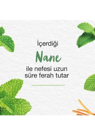 Himalaya Mint Fresh Ferahlatıcı Diş Macunu 3 x 75 ML