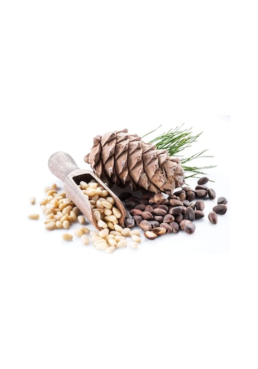 Royal Baharat Çam Fıstığı 50 G