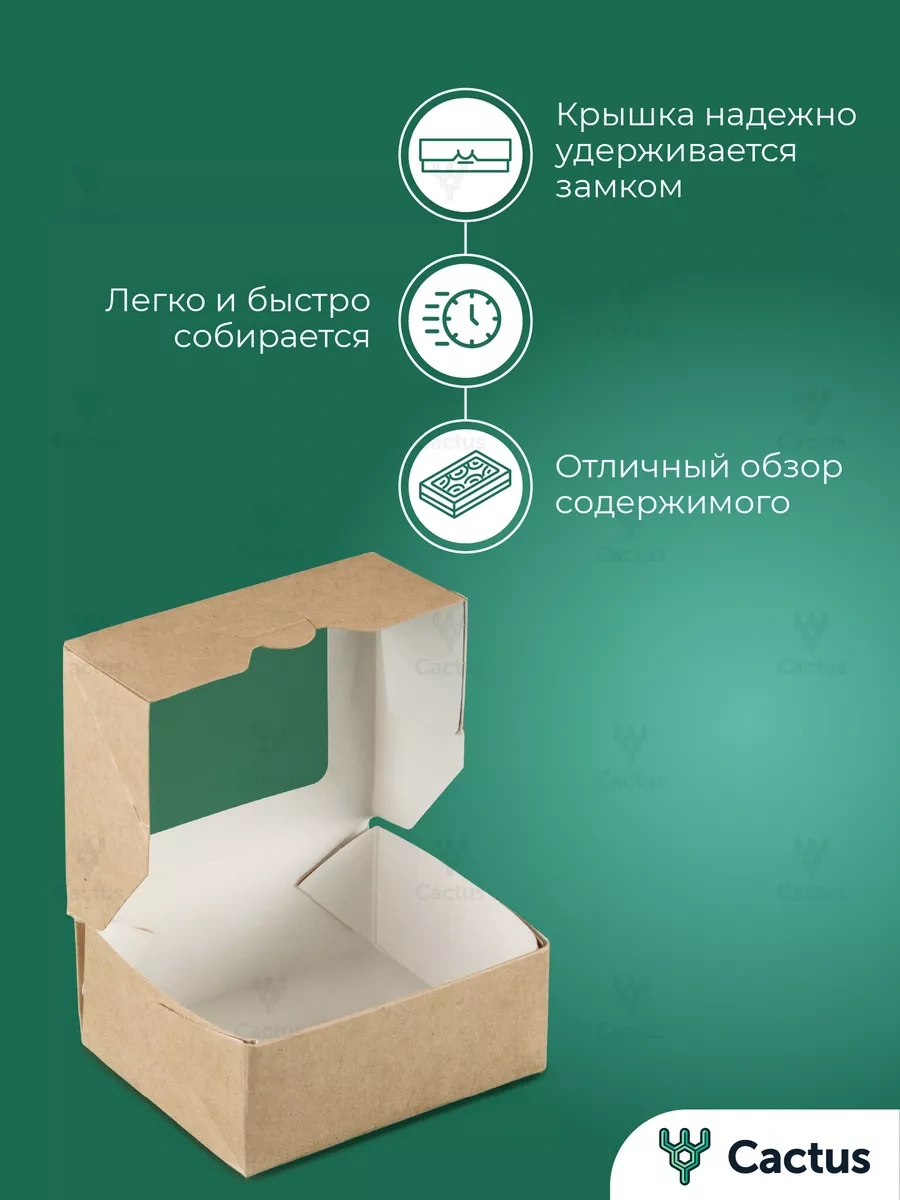 Cactus Kraft Pencereli Paketleme İle Hediye Kutusu 171153405