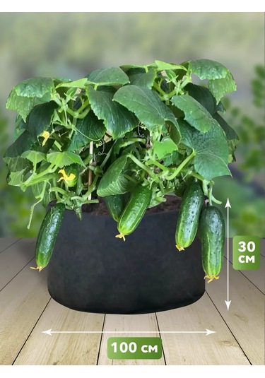 Umnyj Sad Bitkiler Ve Fide İçin 235 Litre Tekstil Saksı 192225365