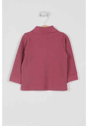U.S. Polo Assn. U.S. Polo Assn Lisanslı Classic Gül Kurusu Bebek Uzun Kol Yakalı Sweatshirt Gülkurusu