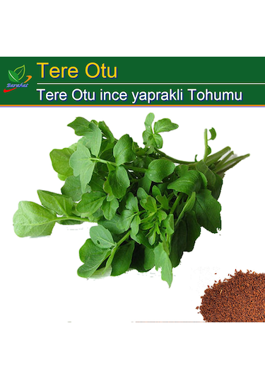 Tere Tohumu İnce Yaprak 4000 Adet