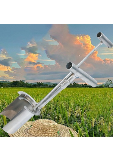 Suntek Magideal Ampul Ekici Sağlam Fide Bitkileri Çiçek Nakli Arka