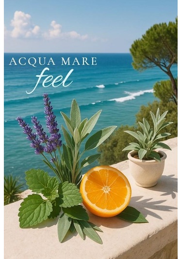 Deniz Suyu Kokusu Soul Of Caria Ev Parfümü 200 Ml Karışık