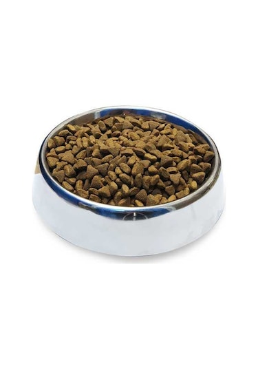 Obivan Biftekli & Kızılcıklı Köpek Maması 15 Kg