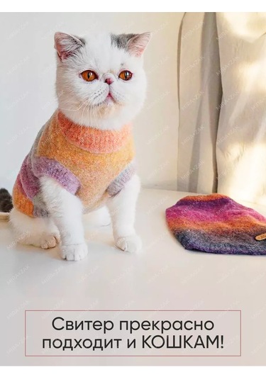 Mıra+zak Köpek Ve Kediler İçin Kademeli Kazak 226823014