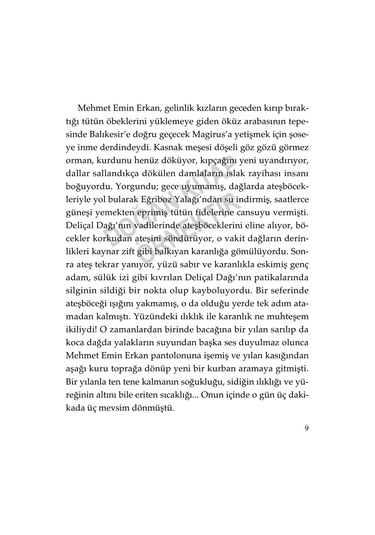 Dört Mehmet Emin
