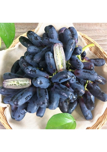 Tüplü Çekirdeksiz Finger Black Üzüm Fidanı