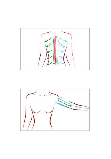 Soulader Lenf Drenaj Masaj Aleti Manuel Boyun Ve Yüz Şekillendirici Selülit Giderme El Masaj Cihazı Mavi