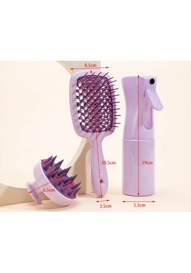 Qingmipy Beyaz Saç Bakım Seti: Masaj Fırçası, Sprey Şişesi Ve Delikli Tarak