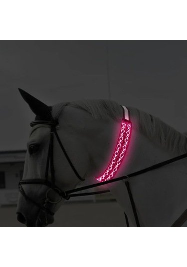 Willowhaven Pembe Led At Yakası Gece Binicilik Güvenlik Ekipmanı Ayarlanabilir Pembe