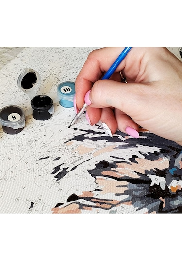 Sayılarla Boyama Seti - Uzaklara Doğru Kasnaklı