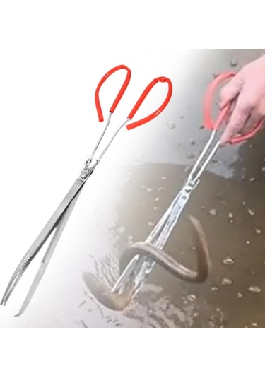 Dolıty Deniz Ürünleri Klipsi Ev Tipi Taşınabilir Çok 45cm