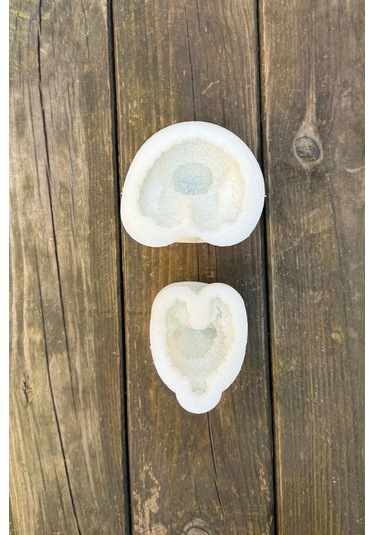 Rose Bear Ve Rose Dog İki Adet Silikon Mum Kalıp Seti