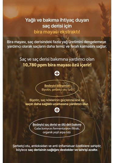 Saç Dökülmelerine Karşı Şampuan Kundal Hair Loss Relief Shampoo 500ml Herb Mint