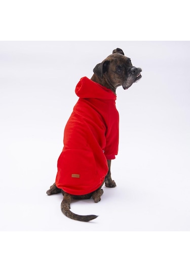 Pettrend Kırmızı Kanguru Cepli Kedi Köpek Hoodie Sweatshirt