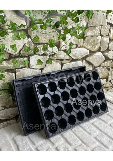 Viyol Tepsisi 10 Adet Derinlik 5 Cm Viyol Altlığı Fide Tepsisi