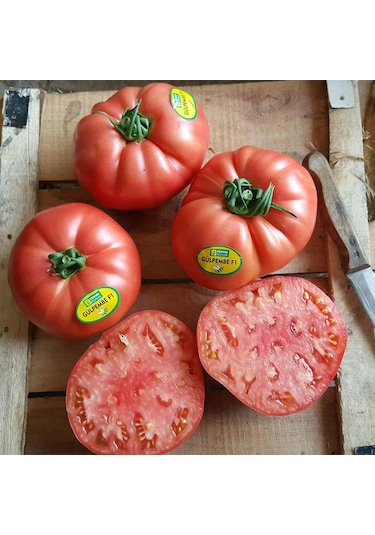 5 Adet Gülpembe Köy Domates Fidesi
