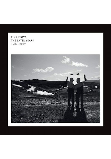 Pink Floyd The Later Years 1987 - 2019 Double Lp Plak