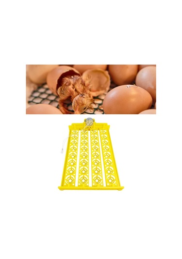 Suntek Otomatik Yumurta Kuluçka Makinesi Turner Tavuk Ac-12v