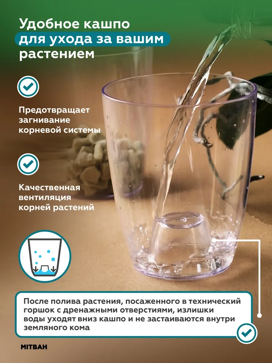 Mıtbah Şeffaf Saksı Orkide Saksısı 162371590