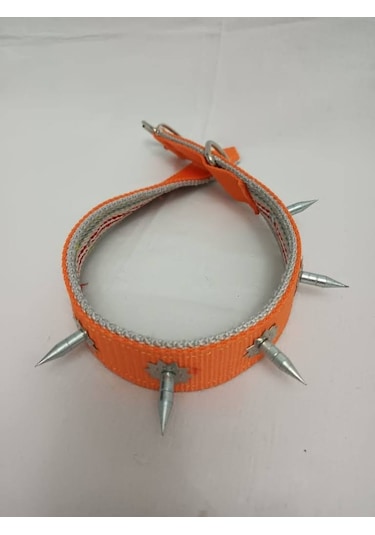 Kozaklı 10458 Çivili Süslü Köpek Tasması Turuncu 70 x 4 CM Turuncu