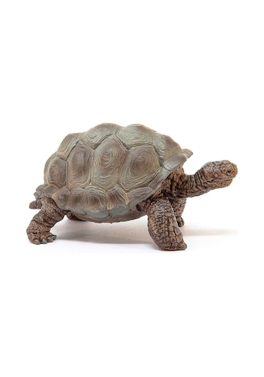 Schleich Dev Tosbağa 14824