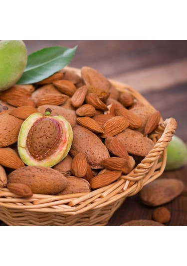 Özel Seçim Ilıman Sahil Bölgeler İçin Uygun Olan Aşılı Badem Fida