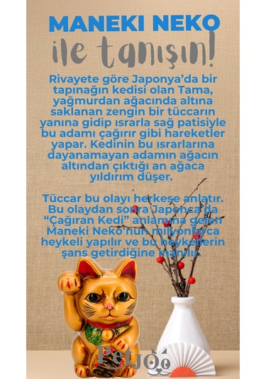 Petjoo 4.Maneki Neko Gri-Mavi Qr'lı Kedi Künyesi