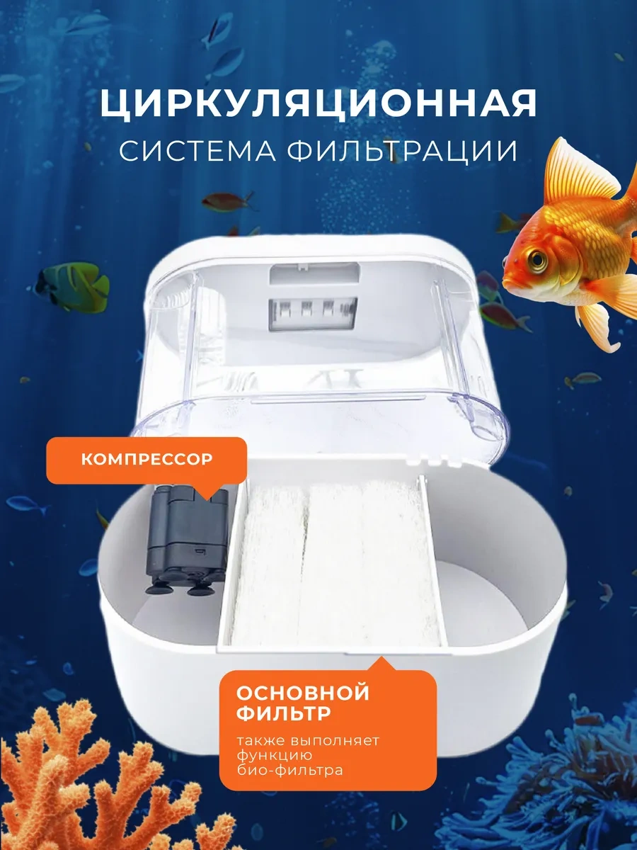 Innove Balıklar İçin Aydınlatmalı Ve Filtreli Akvaryum 267630185