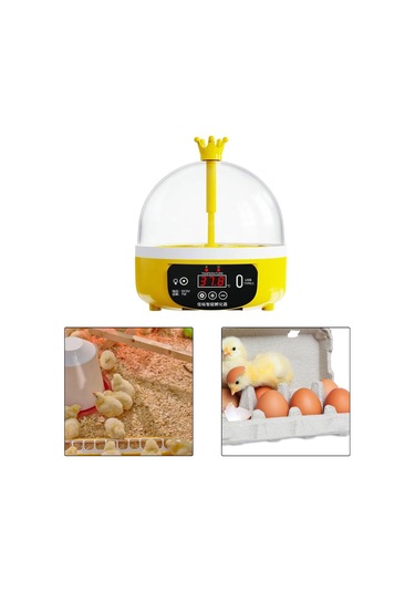 Qf Dijital Yumurta Kuluçka Makinesi Kanatlı Kuluçka Makinesi 4