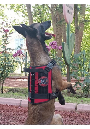 Tactical Göğüs Tasması Taktik Tasma Kırmızı