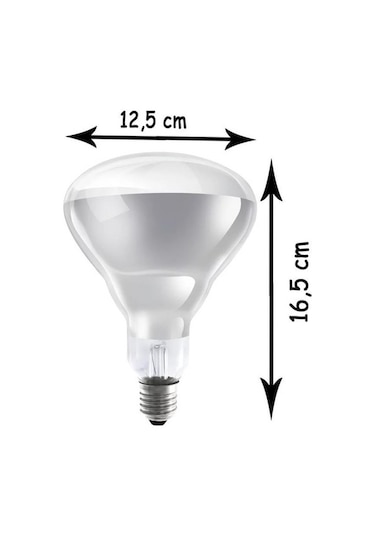 Ledvance Infrared Br40 Clear 250w E27ampul