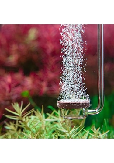 Aquario Neo Co2 Diffuser Normal Special M