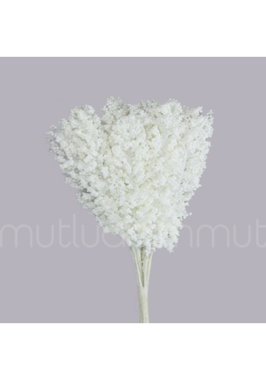 Mutluadim 12 Demet (144 Adet) Dökülen Ince Uzun Cipso/Pıtırcık Çiçek