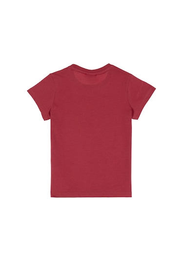 U.s. Polo Assn. Erkek Çocuk Vişne Tişört Basic 50306548-vr223 Vişne